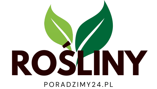 Rośliny doniczkowe, ogrodowe, balkonowe i dzikie. Pielęgnacja, uprawa, porady. Poradzimy24.pl