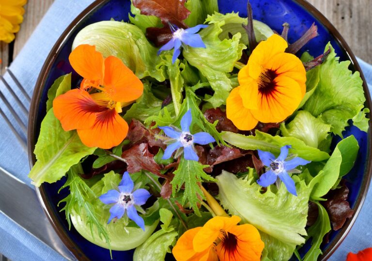 Sałatka z kwiatami nasturcji i rukolą