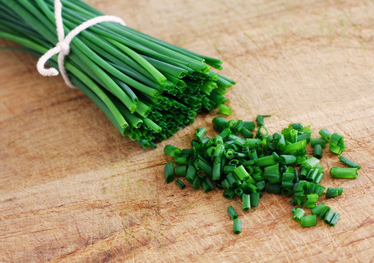 Szczypiorek doskonale nadaje się do uprawy w zimowej szklarni